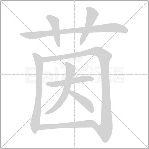 茵字意思|茵的解释